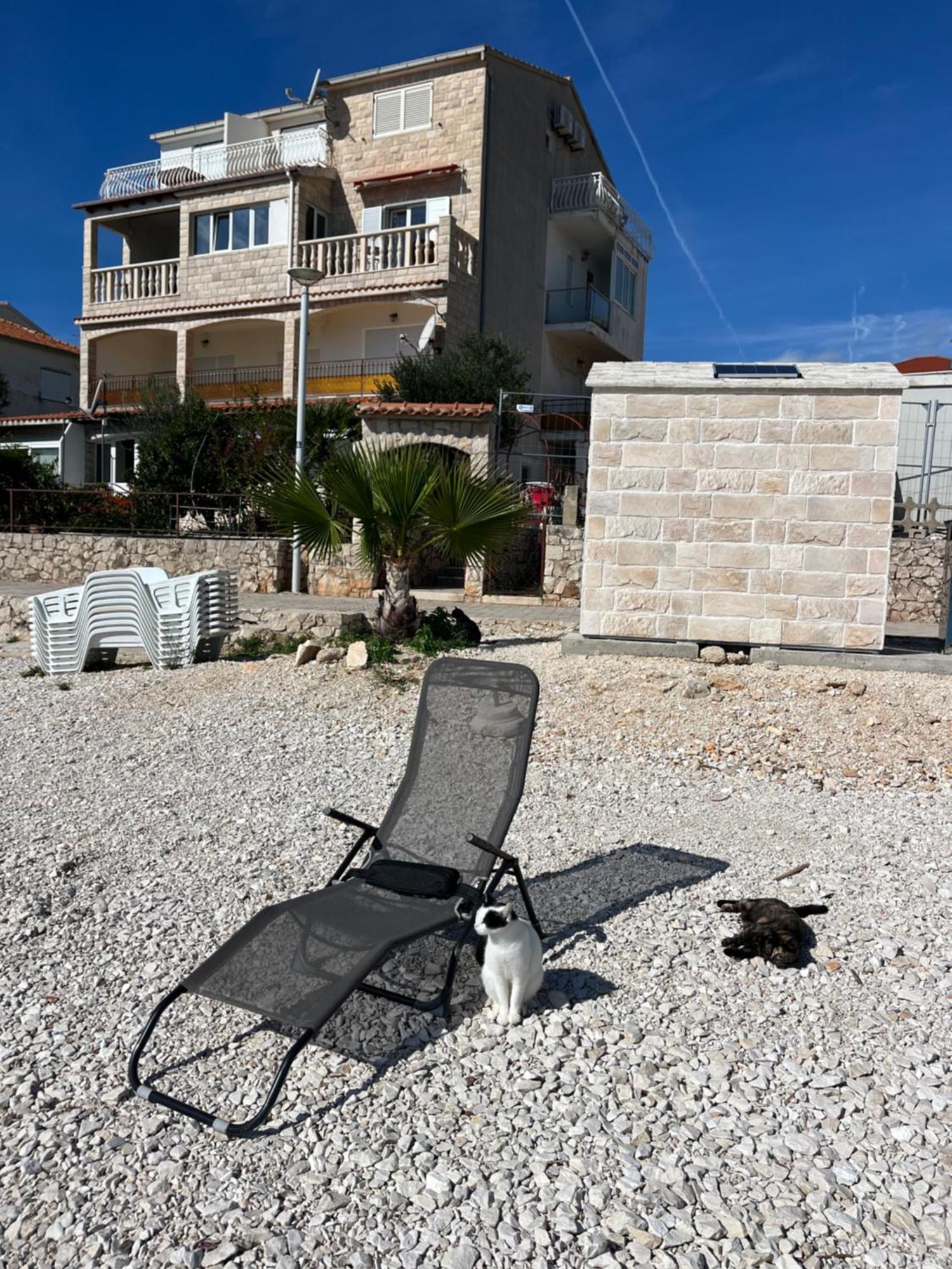 טרוגיר Apartments Marko מראה חיצוני תמונה